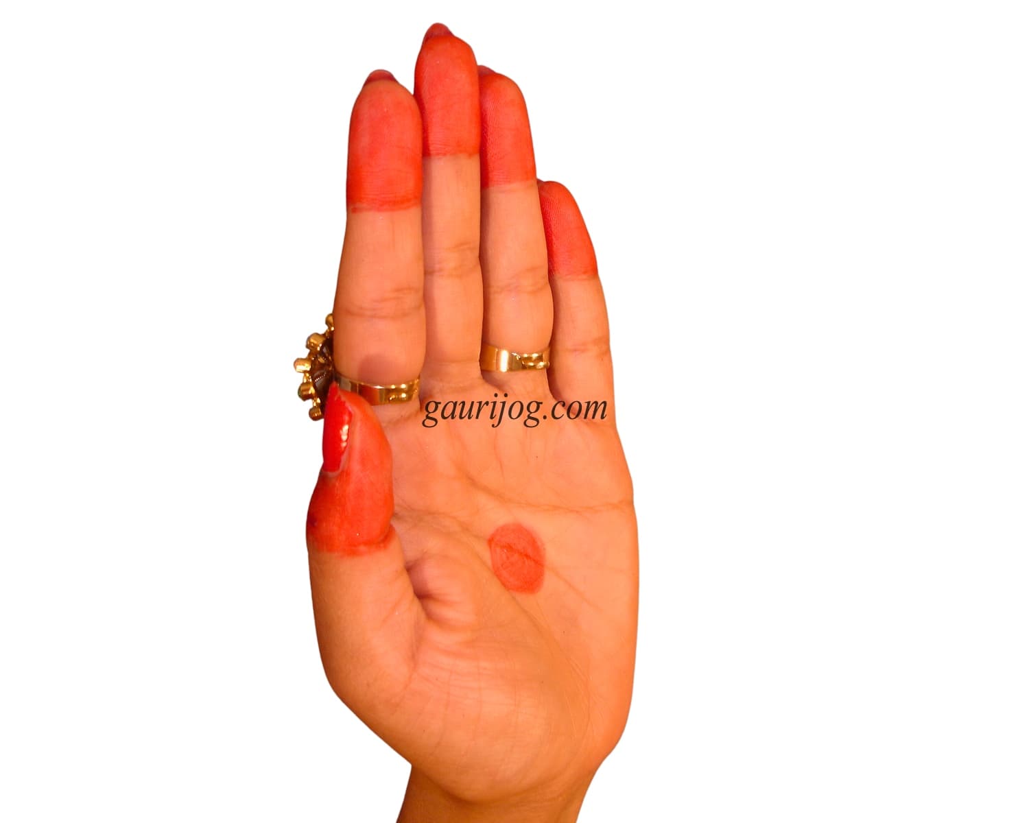 Pataka Hand Gesture by Gauri Jog