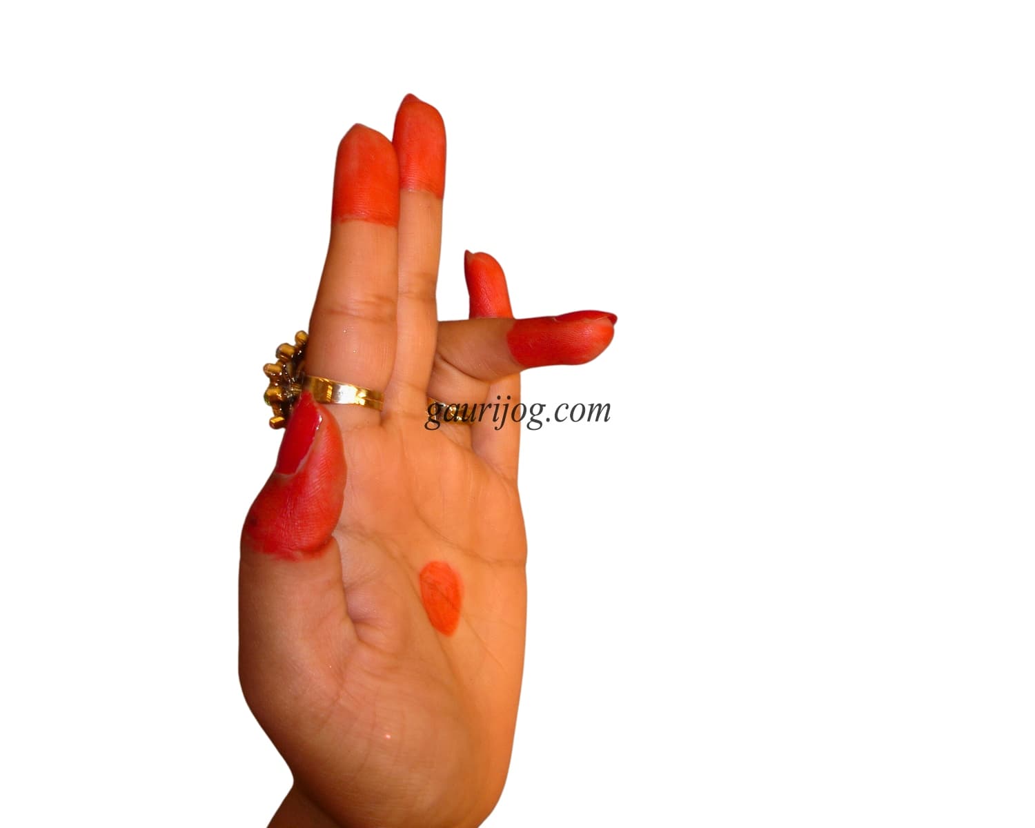TriPataka Hand Gesture by Gauri Jog