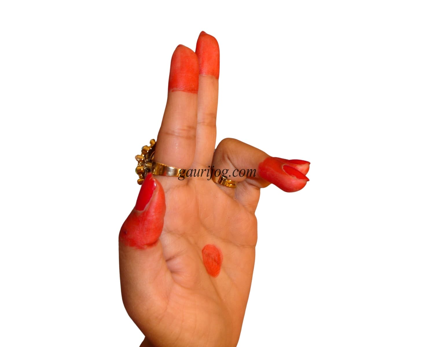 ArdhaPataka Hand Gesture by Gauri Jog