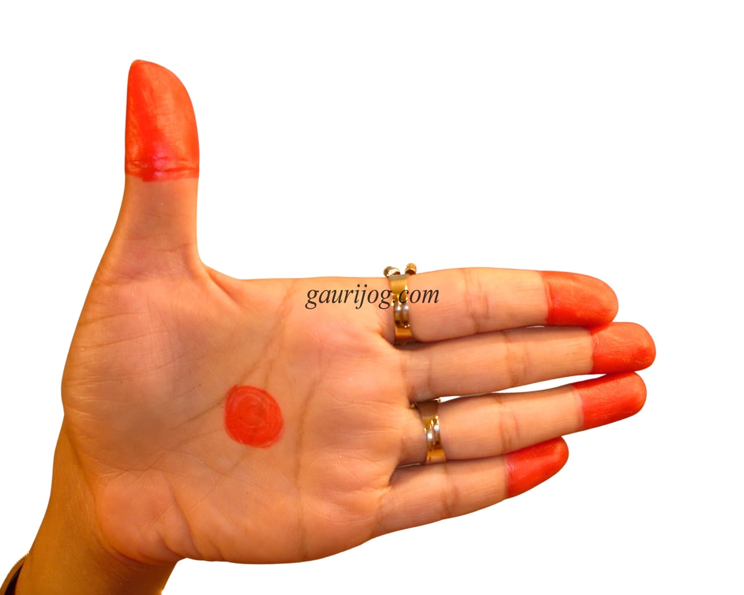 ArdhaChandra Hand Gesture by Gauri Jog
