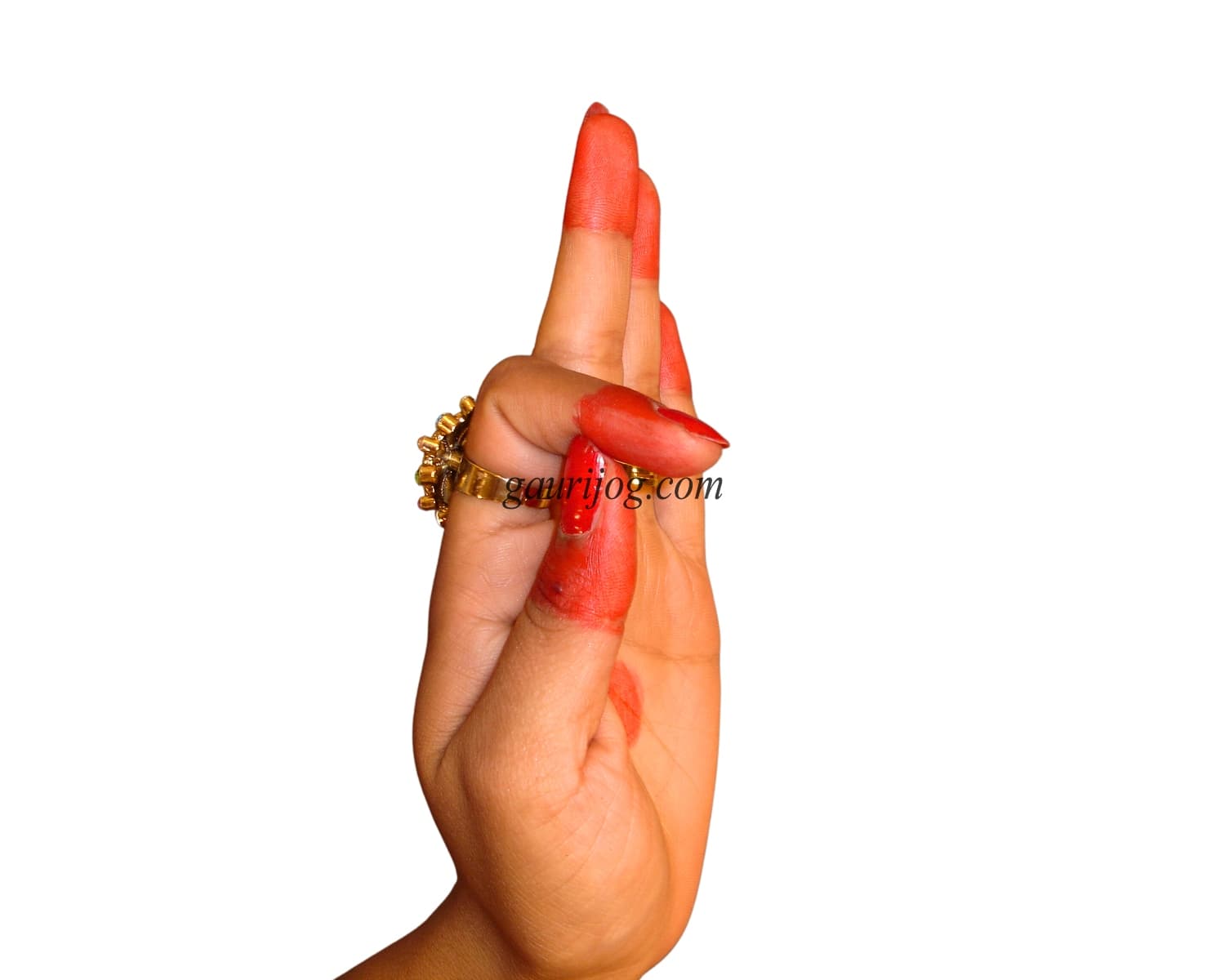 Aral Hand Gesture by Gauri Jog