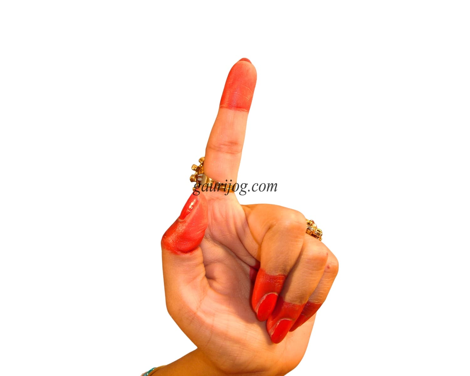 Suchi Hand Gesture by Gauri Jog