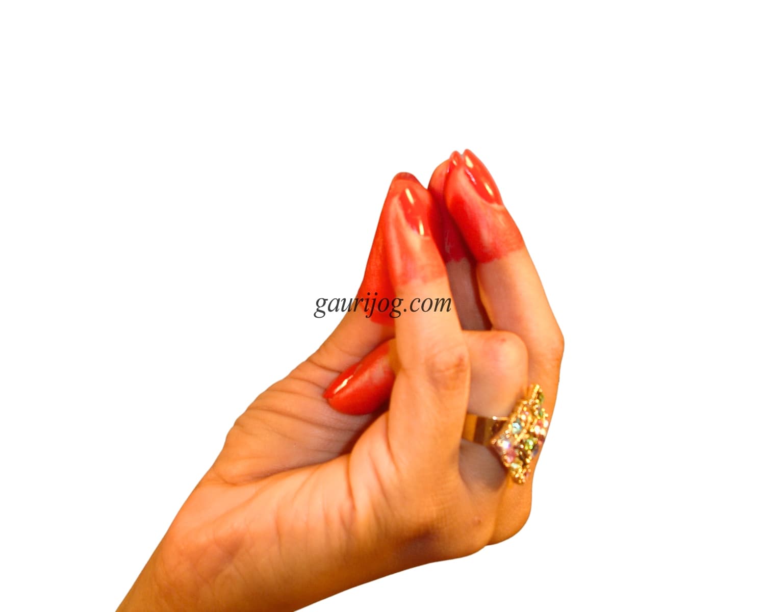 Kangul Hand Gesture by Gauri Jog