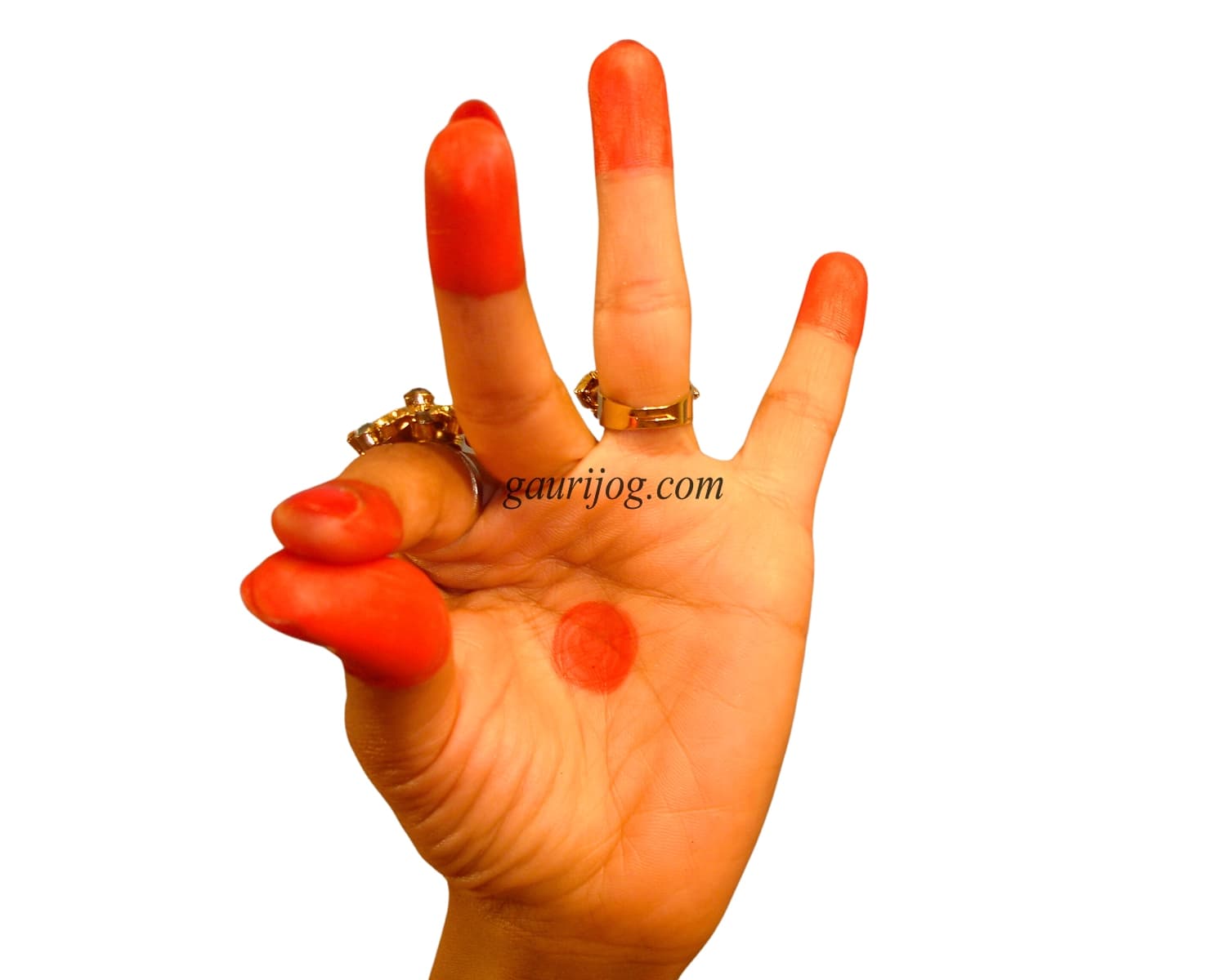 Hausasyya Hand Gesture by Gauri Jog