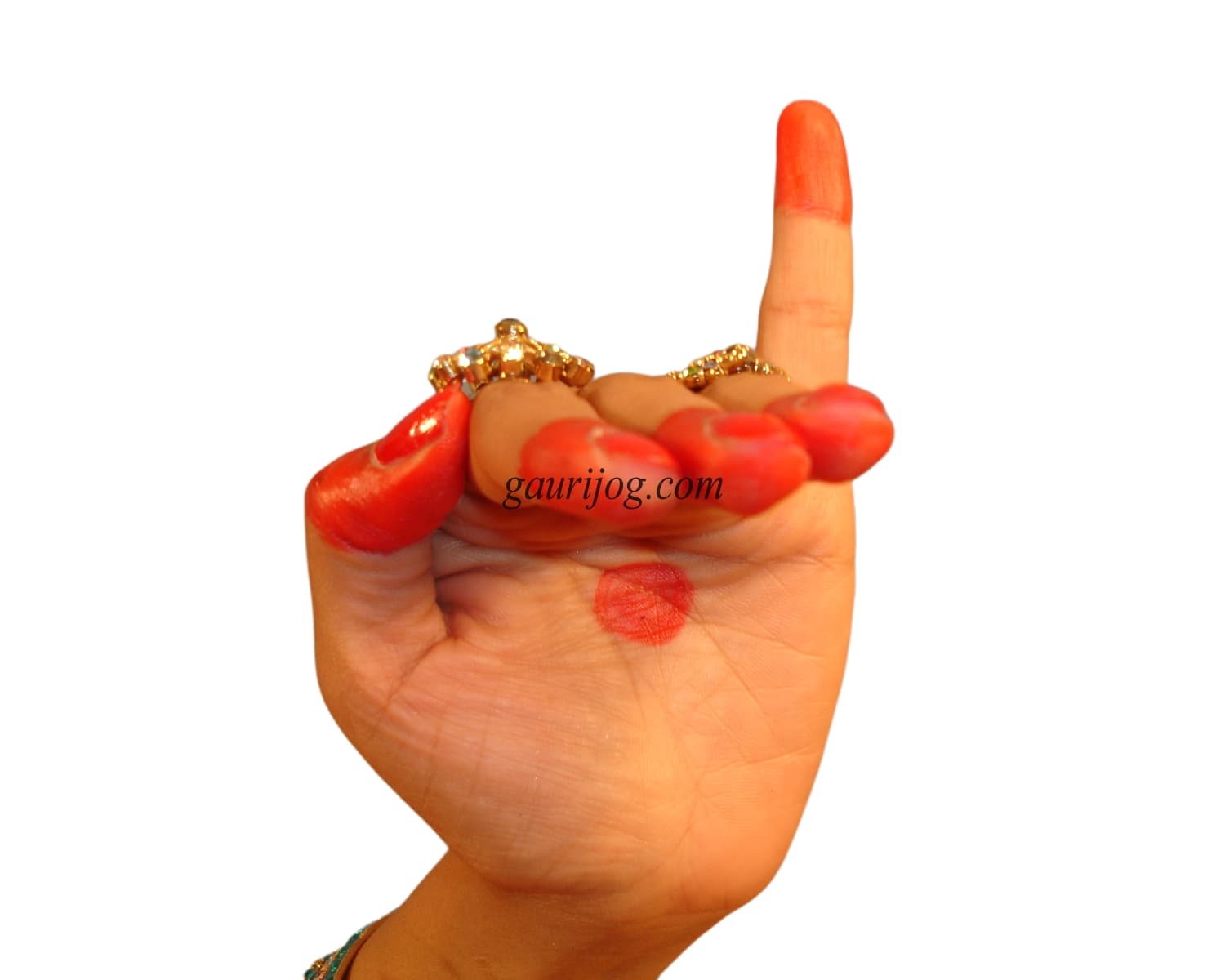 HansaPakshya Hand Gesture by Gauri Jog