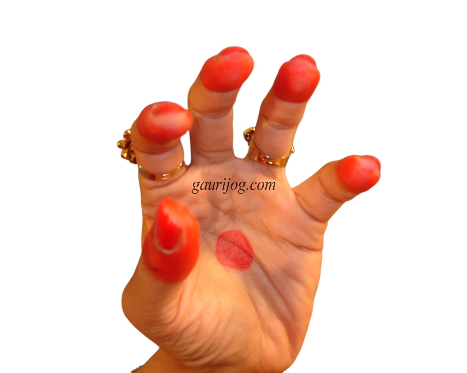 Sandanshya Hand Gesture by Gauri Jog