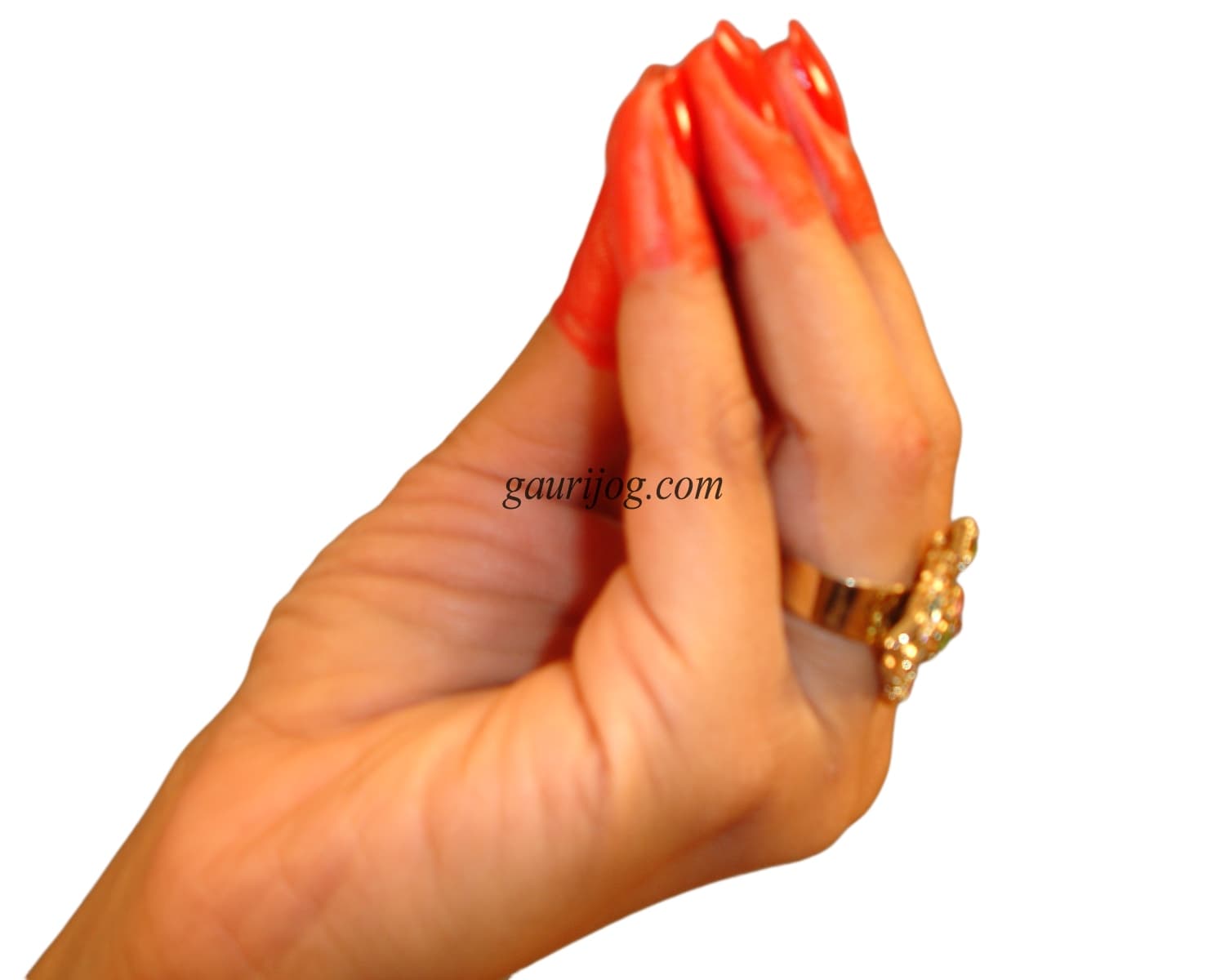 Mukula Hand Gesture by Gauri Jog